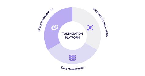 What Should You Expect From A Tokenization Platform In 2024 Tokeny