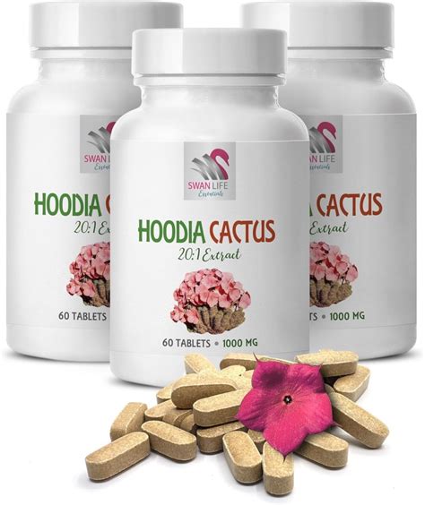 Hoodia Gordonii Review Wayne S Health Fitness