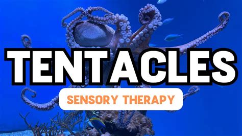 Octopus Tentacles Ocean And Chilled Music Therapy Autism Sensory