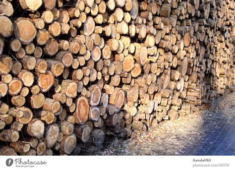 Holzstapel Baumstamm Ein Lizenzfreies Stock Foto Von Photocase