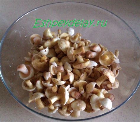 вкусные маринованные маслята - рецепт с фото