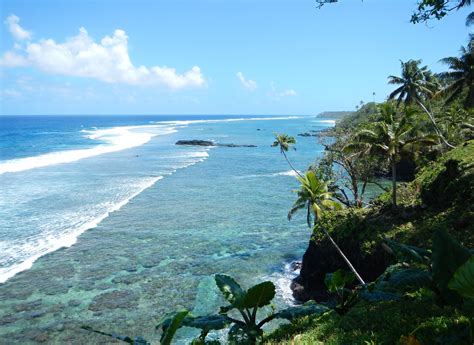 Discovery of Extinct Beetle Highlights Biodiversity & Sounds a Warning