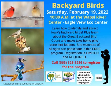 Backyard Birds | Scott County, Iowa