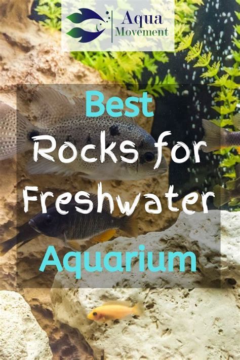 9 Best Safe Rocks For Freshwater Aquarium Artofit