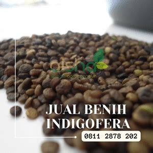 Harga Biji Indigofera Hubungi