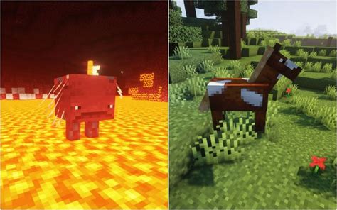 Striders Vs Horses In Minecraft How Different Are The Two Mobs