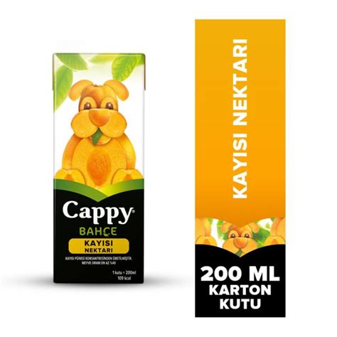 Cappy Bahçe Kayısı Nektarı Karton Kutu 200 Ml