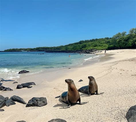 Ecuador & Galapagos Island Hopper Tour | Contiki US
