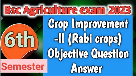 Crop Improvement Ll Rabi Crops 6th Semester Objective Q A Bsc