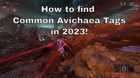 Warframe How To Find Common Avichaea Tags In 2023 Youtube