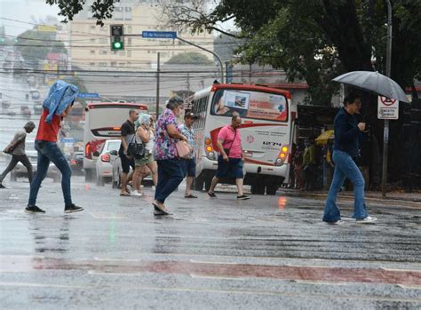 Chuva Causa Pane Em Semáforos Queda De árvores E Deixa Bairros Sem