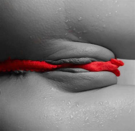 Gorgeous Pussies Porn Pic