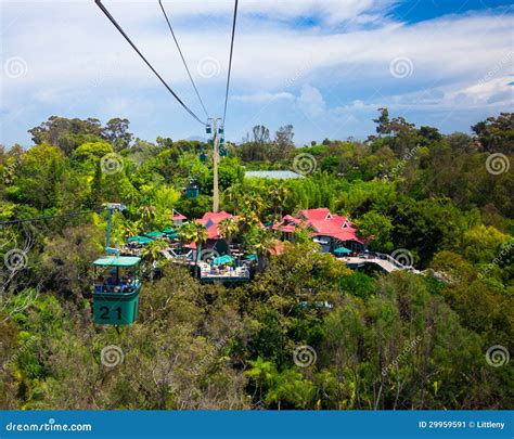 Skyfari Aerial Tram, San Diego Zoo Editorial Photo | CartoonDealer.com ...