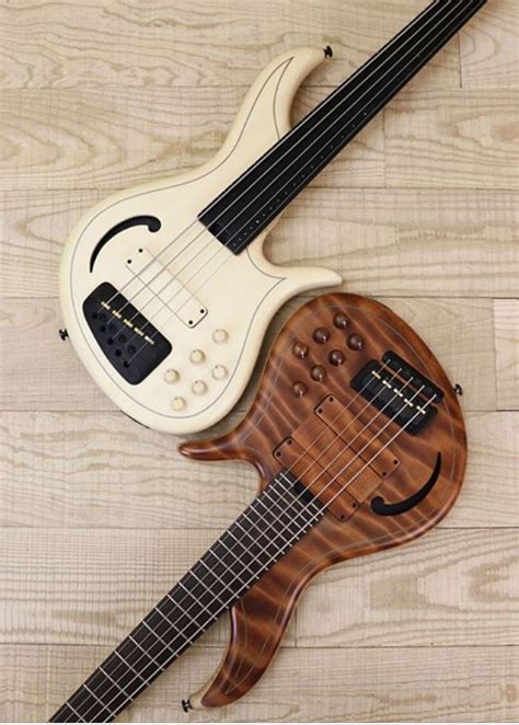 Beautiful Bass Guitar Guitar Electric Bass