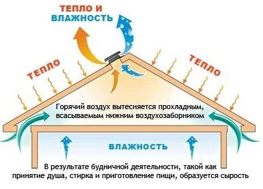Вентиляция чердачного пространства холодный чердак - Всё о кровле