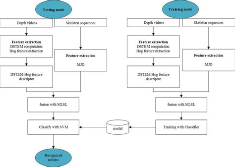 The Proposed Human Action Recognition Framework Download Scientific