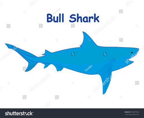 Bull Shark Fish Vector Cartoon Illustration Stock Vector (Royalty Free ...