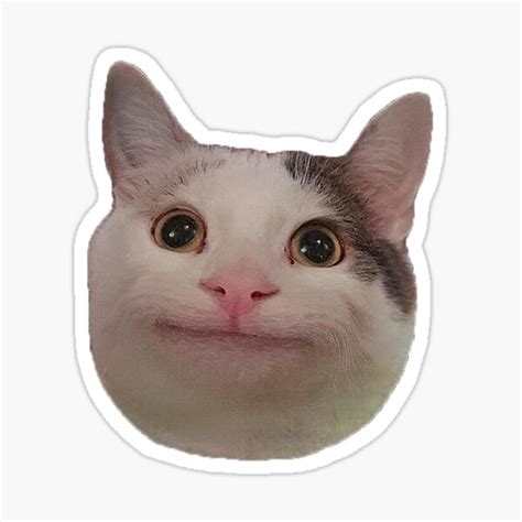 "the funny cat meme face" Sticker for Sale by MehdiMajd | Redbubble