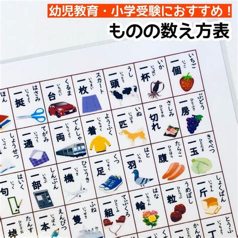 ものの数え方表 物の数え方 助数詞 小学校受験対策 幼児教育 知育ポスターの通販 By 小学校受験・知育教材・療育関連｜ラクマ