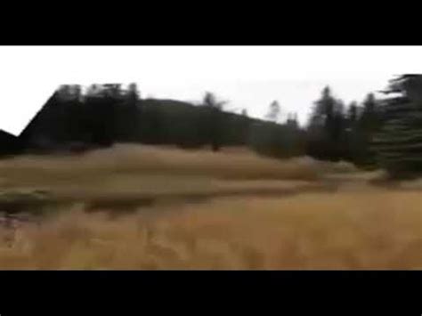 Матвей - YouTube