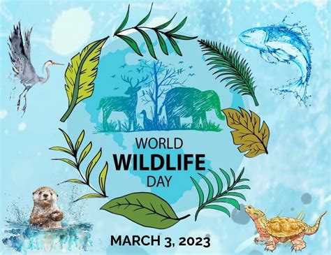 World Wildlife Day 2023 Think Turtle Conservation Initiative