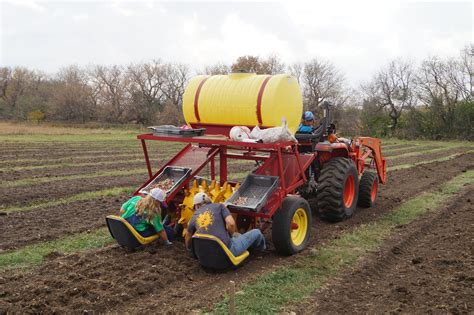 My Five Tips For Garlic Planting Success — Prairie Coteau Farm