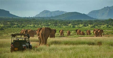 Nairobi T Gige All Inclusive Safari Im Samburu Nationalpark