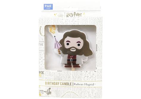 Rubeus Hagrid In Harry Potter 8