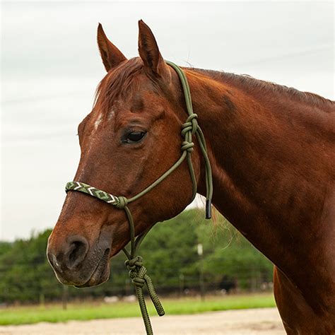 Cashel Cashel 9 Lead Rope And Beaded Rope Halter Wrs