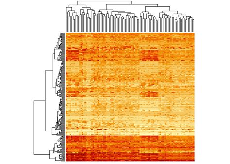 Chapter 9 Heatmaps Et Al Base R Visualization In R Workshop