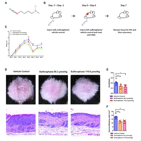 Effects Of Sulforaphane On Imq Induced Psoriasis Like Mouse Model