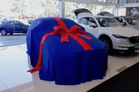 Large Bows for Cars | Big Bows for Cars | Auto Dealership Products