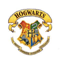 What Is Your Hogwarts Life Story Very Very Very Long Results Quiz