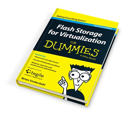 Dummies eBook - Minneapolis Cloud Services and Managed Service Provider ...