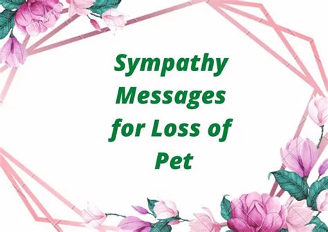 60+ Sympathy Messages for Loss of Pet | Love Syllabus