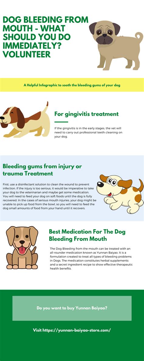 What To Do When Your Dogs Gums Are Bleeding