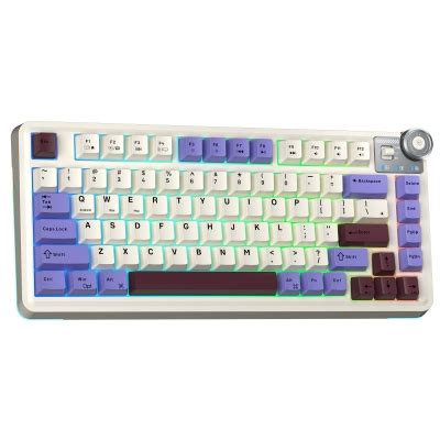 Aula AU75 3 Modlu RGB Hot Swap Mekanik TKL Seiya Switch Kablosuz Makrolu Klavye Bej Gaming