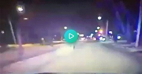 Man Belly Flops On Police Car  On Imgur