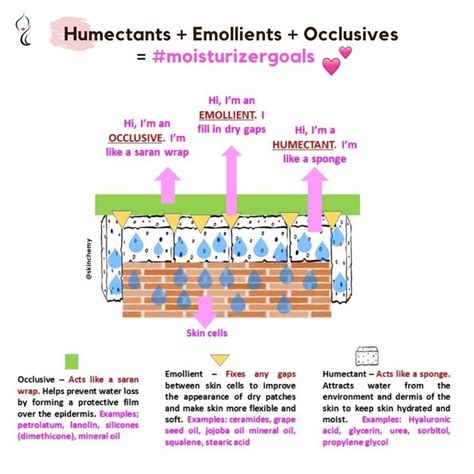 Science Of Skincare Makeup On Instagram Hi Friends Are You