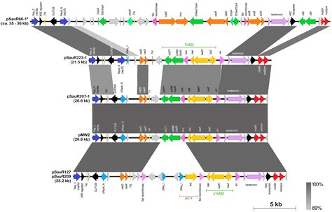 Antibiotics Free Full Text The Plasmidomic Landscape Of Clinical