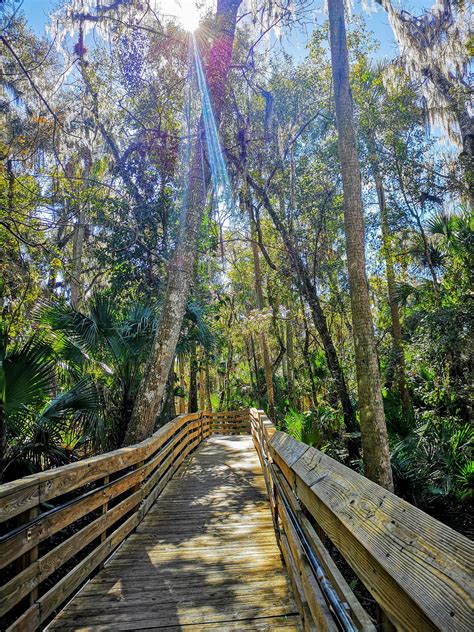 Blue Springs State Park, Florida, USA : r/hiking