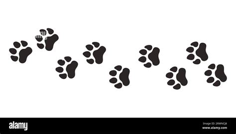 Tiger Paws Animal Paw Prints Vector Different Animals Footprints