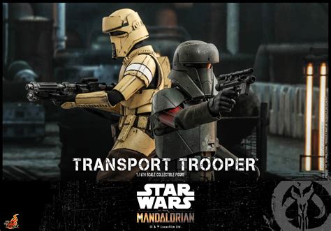 Hot Toys Tms The Mandalorian Transport Trooper Hot Toys Complete Checklist