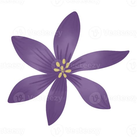 Lily Purple Flowers 44022859 Png