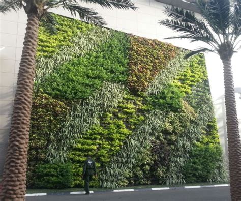 41 Ideas Increíbles Para Paredes De Plantas Y Cómo Construir Una Pared