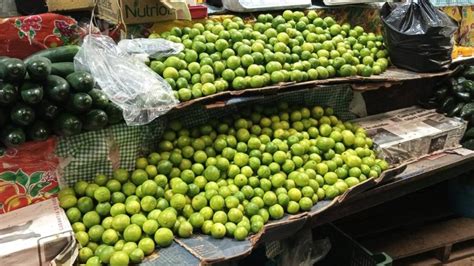 Apatzingán incrementa precio del limón tras paro de productores UnoTV