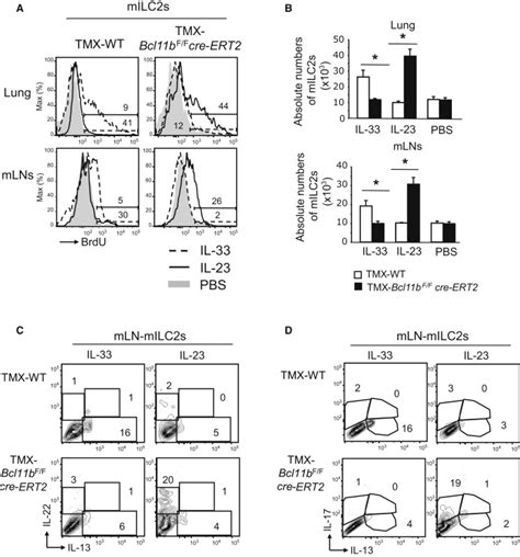 Transcription Factor Bcl11b Controls Identity And Function Of Mature