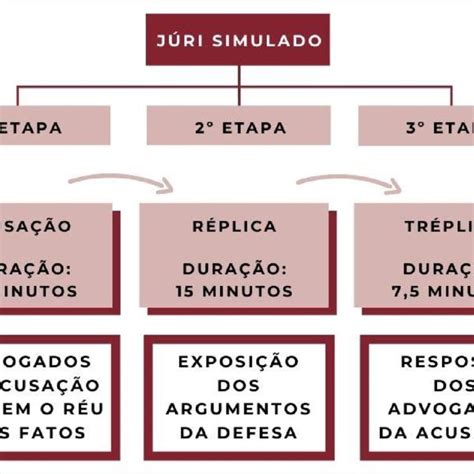 Fluxograma contendo a estrutura e organização do júri simulado em