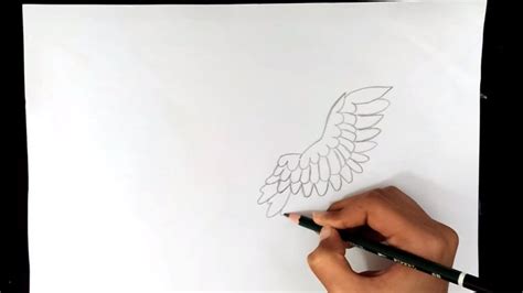 How to Draw Wings: Guide for Creating Beautiful, Realistic Wings