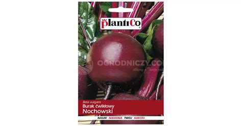 Burak ćwikłowy Nochowski 10g Plantico Sklep Ogrodniczy